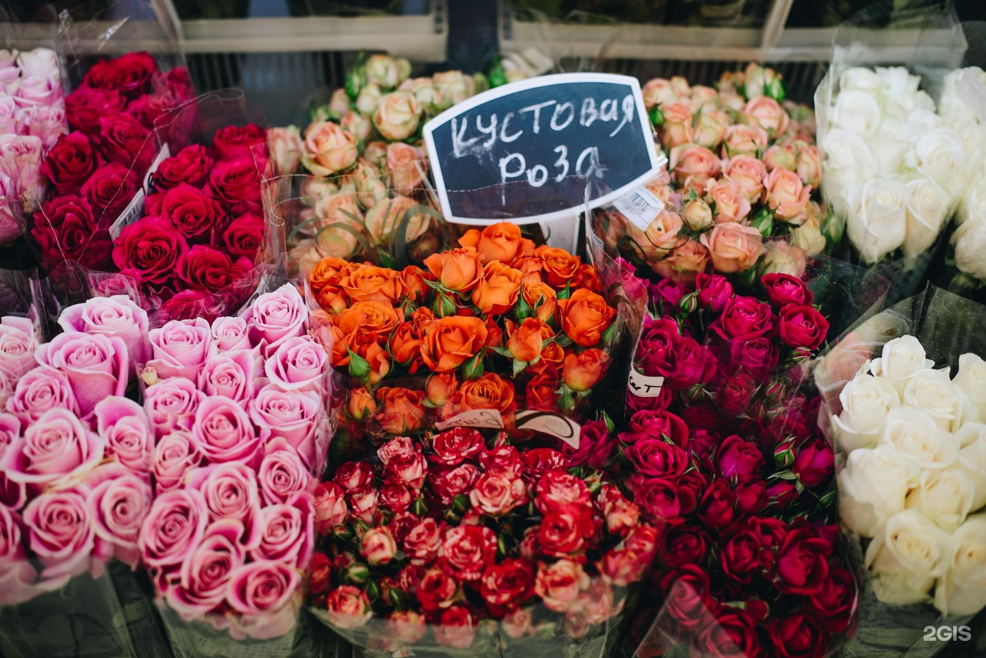 Розы - купить в Уфе, доставка свежесрезанных роз недорого